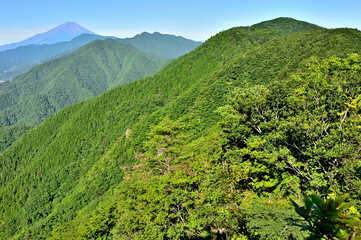 道志山塊の道志山稜縦走コース　赤鞍ヶ岳のウバガ岩より富士山と道志山稜を望む
