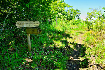 道志山塊の菜畑山山頂
