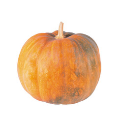 Pumpkin on Isolated White Background. Thanksgiving, Halloween and Autumn Holiday Symbol. File with Clipping Path.