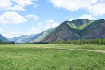 Mountain landscape in the summer. Altai, Siberia, Russia