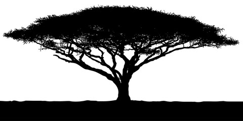 Black and white vector silhouette of an African acacia tree.
