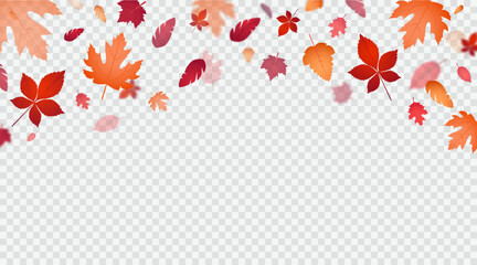 Vector design template with bright falling leaves.