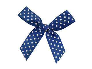 gift satin bow for gift decoration, isolated on a white 