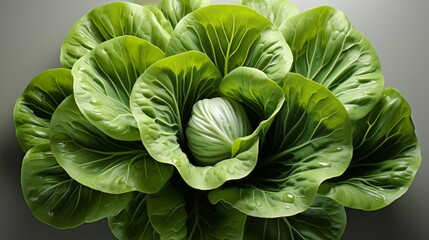Obraz premium This vibrant close-up of a fresh vegetable plant reveals its intricate beauty, with the lush green leaves, delicate petals, and invitingly crisp cabbage and lettuce