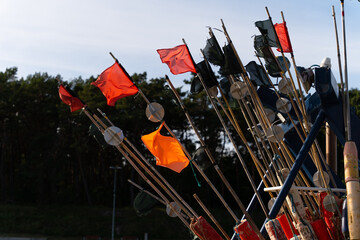 marine flags on the wind