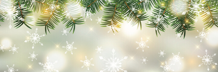 Fototapeta na wymiar クリスマス　モミの木　雪　背景