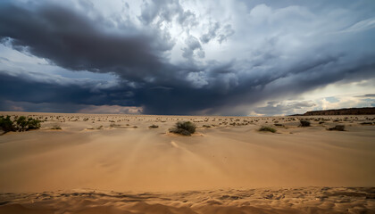 Fototapeta na wymiar clouds over the desert, Nature's Fury: Storm Clouds Above the Desert Horizon