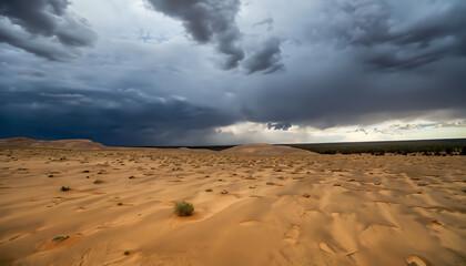 Fototapeta na wymiar clouds over the desert, 
