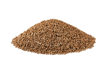 perilla frutescens deulkkae seed isolated on white background. pile of perilla frutescens deulkkae seed isolated. heap of perilla frutescens deulkkae seed isolated