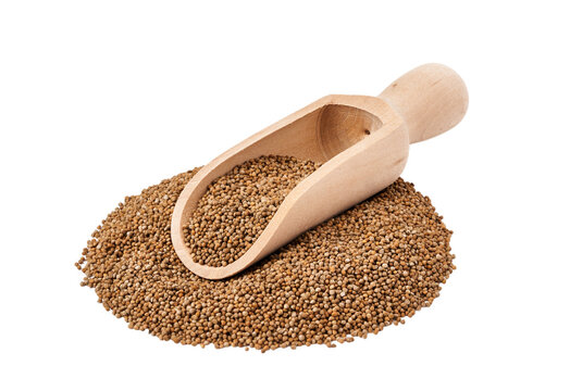 perilla frutescens deulkkae seed isolated on white background. pile of perilla frutescens deulkkae seed isolated. heap of perilla frutescens deulkkae seed in wood scoop isolated