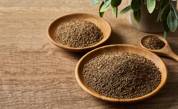 perilla frutescens deulkkae seed on wood table rustic background. perilla frutescens deulkkae seed on wood table. perilla frutescens deulkkae seed food background