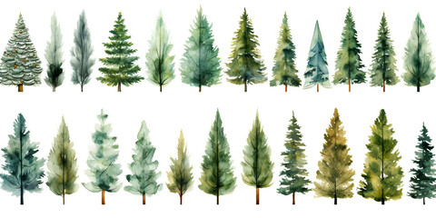 Set of different watercolor pine trees isolated on white background - obrazy, fototapety, plakaty