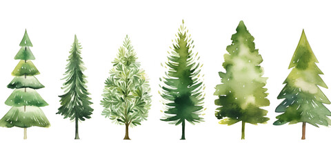 Set of different watercolor pine trees isolated on white background