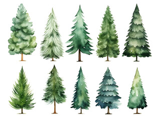 Set of different watercolor pine trees isolated on white background