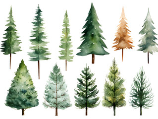 Set of different watercolor pine trees isolated on white background