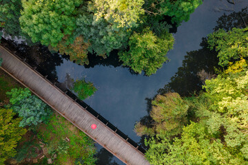 Top-down view on a lake in the park, red umbrella on the wooden path