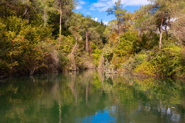 Pond or lake in the forest in the autumn