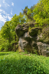 Landschaft im Paradiestal,  Fränkische Schweiz, Gemeinde Stadelhofen, Landkreis Bamberg, Oberfranken, Bayern, Deutschland