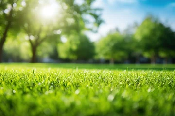 Fototapeten green grass and blue sky © BetterPhoto