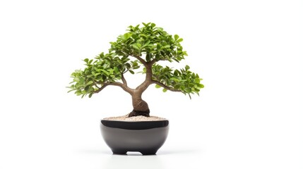 Concept image of a small fake tree in a pot perfect for interior design or office decor