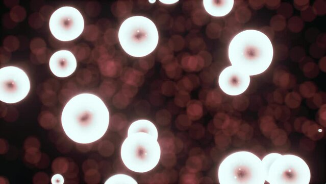 Viewing the navirus under a digital microscope