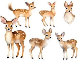 Watercolor. set of little cute deer isolated on white background 