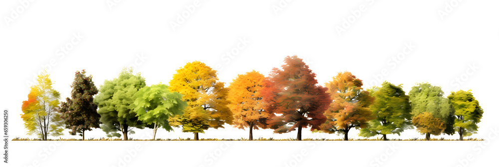 Poster landscape autumn trees in the forest and foliage. row of trees and shrubs. isolated on white and tra