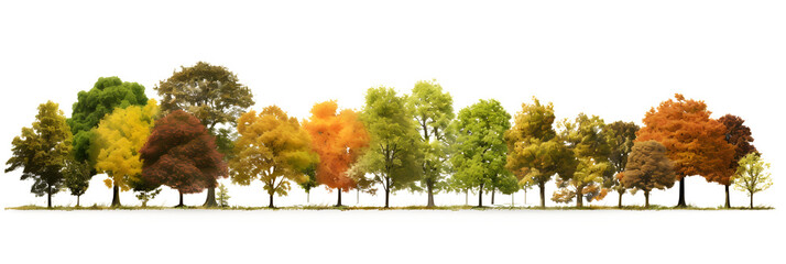 Landscape Autumn trees in the forest and foliage. Row of trees and shrubs. isolated on white and transparent background, ai generate