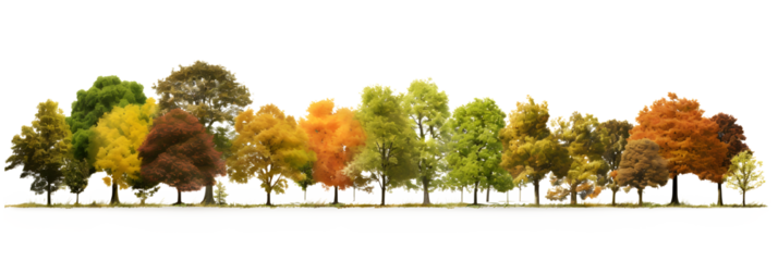 Landscape Autumn trees in the forest and foliage. Row of trees and shrubs. isolated on white and transparent background, ai generate