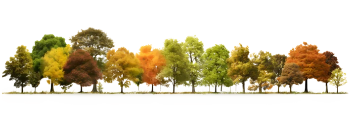 Keuken spatwand met foto Landscape Autumn trees in the forest and foliage. Row of trees and shrubs. isolated on white and transparent background, ai generate © Black Pig