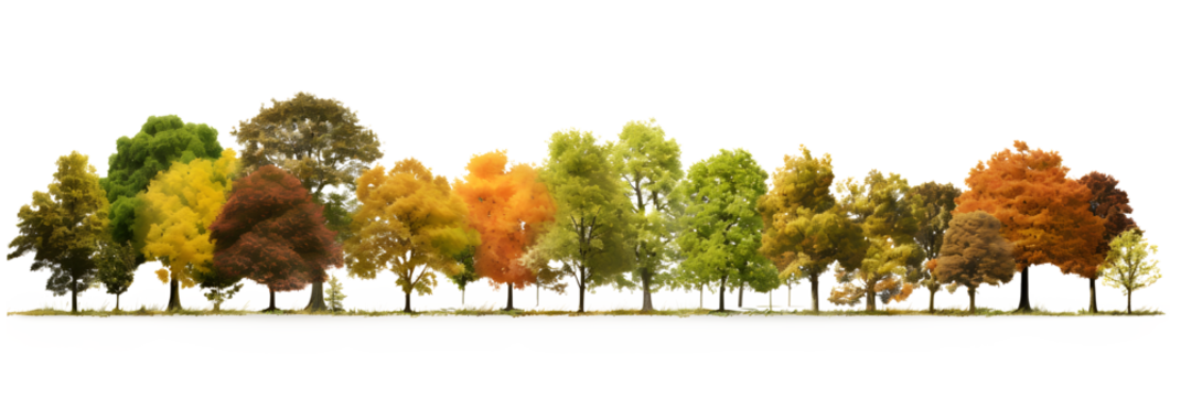 Landscape Autumn trees in the forest and foliage. Row of trees and shrubs. isolated on white and transparent background, ai generate