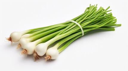 Green onion on neutral background.