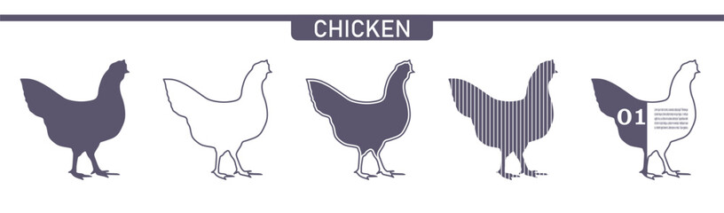 Fototapeta na wymiar Chicken farm animal. Poultry various flat icons set.