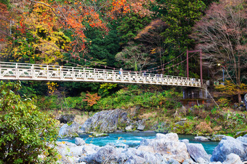View of Suspension bridge across the Tama River near Mitake Station, Tokyo, Japan - obrazy, fototapety, plakaty