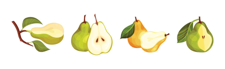 Green Pear Fruit with Stem and Leaf Vector Set