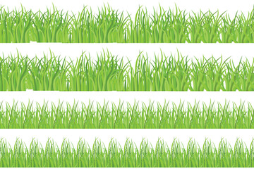 Green Grass Frame With White Background, Vector Illustration