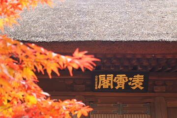 平林寺の山門と紅葉, Autumn leaves and The main gate of Heirinji Temple