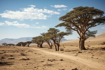 Wide view of arid landscape with several tall date trees. Generative AI