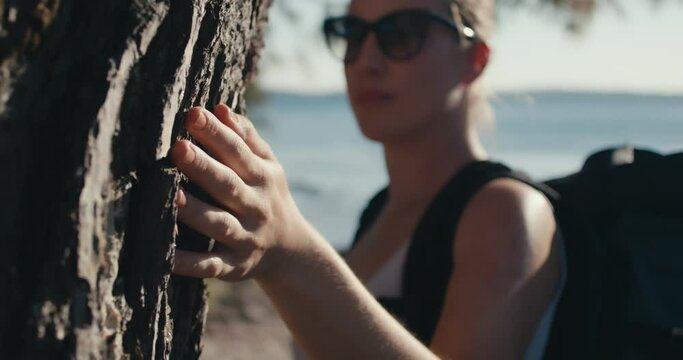 Woman hand slide feels pine tree trunk bark close up sea beach travel
