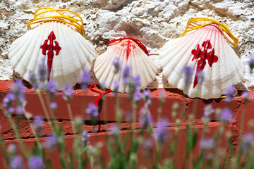 Way of St James , Camino de Santiago ,shell scallops on rough whitewashed wall   to Compostela ,...