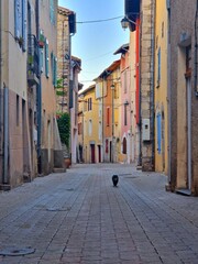 Village in France with Cat and many colorful buildings