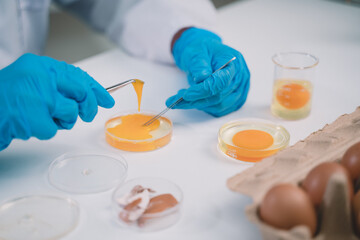 Researchers are studying nutrition, research and egg density. for freshness and cleanliness of eggs