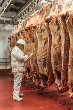 Butcher taking inventory of meat in slaughterhouse