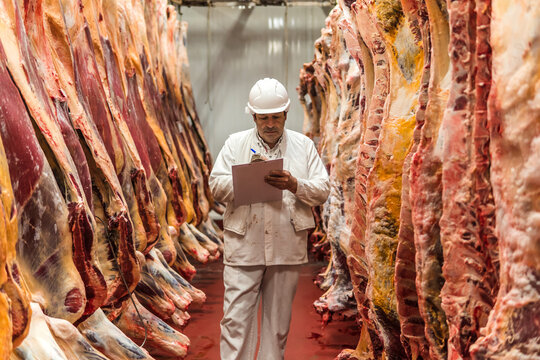 Butcher taking inventory and making reports in slaughterhouse