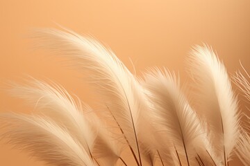ears of wheat on the field, dry grass boho aesthetic background, trendy color of the year 2024 peach fuzz