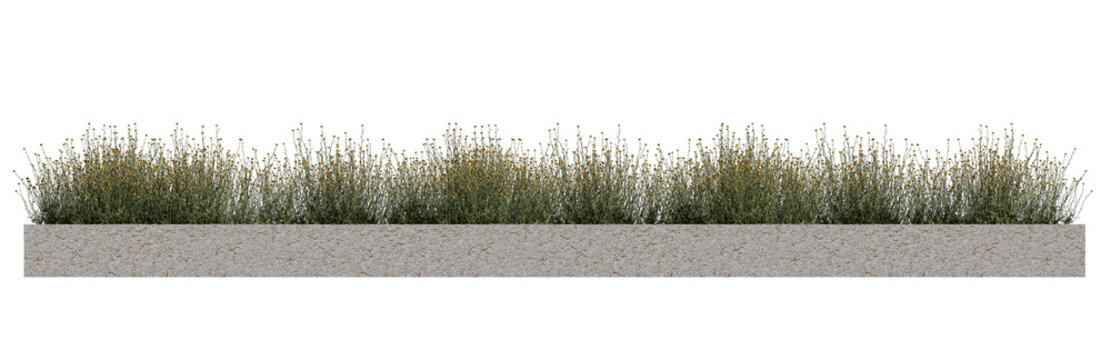 Small plants with yellow flower in concrete planter, green grass isolated on transparent background..