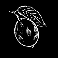 White outline of a lemon on a black background