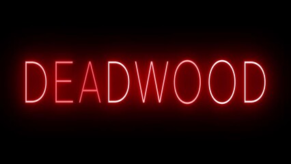 Flickering red retro style neon sign glowing against a black background