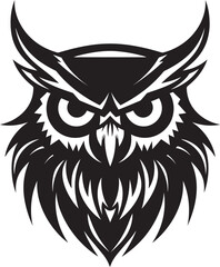 Intricate Moonlit Owl Art Owl Face in the Dark