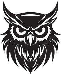 Intricate Moonlit Owl Art Owl Face in the Dark